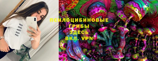 стаф Волоколамск