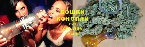 стаф Волоколамск